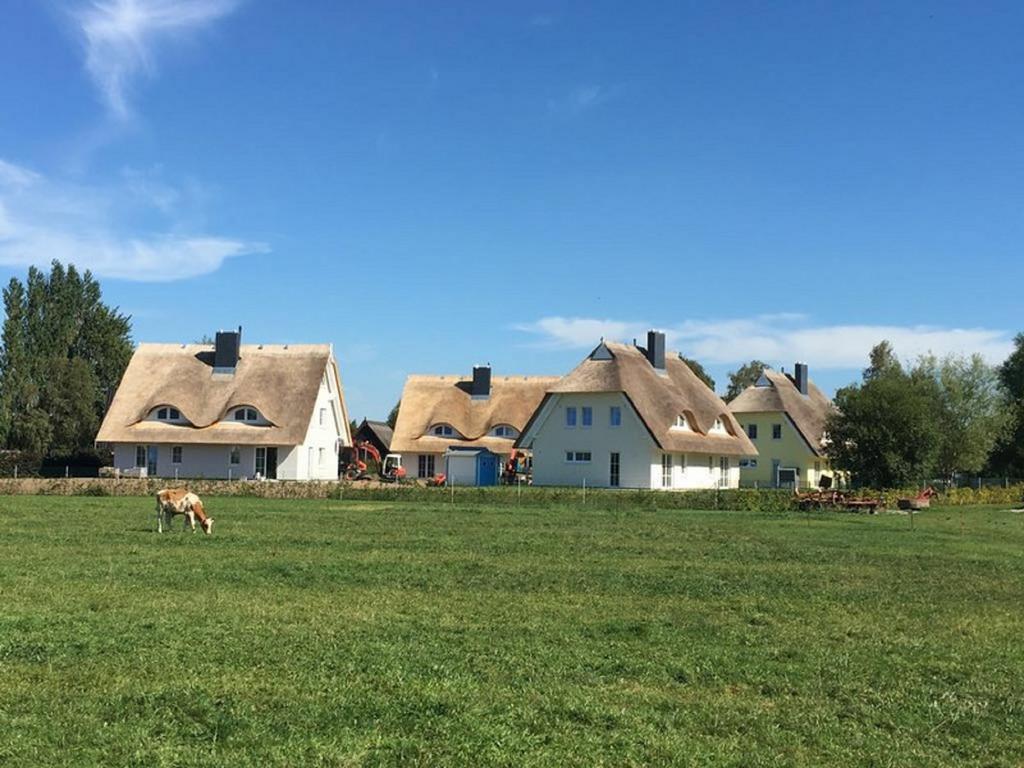 Reetdachhaeuser Boergerende Buitenkant foto